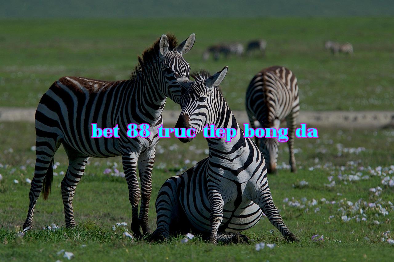 /imgposts/rskle28e.jpg
